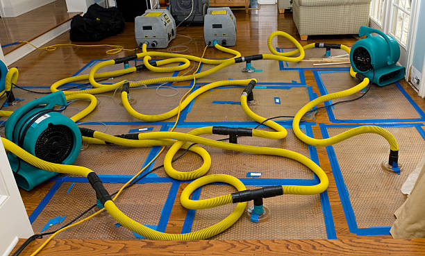 Professional Water Damage Restoration technician working in Ector, TX